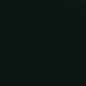 Meet your Posher, Lizabeth